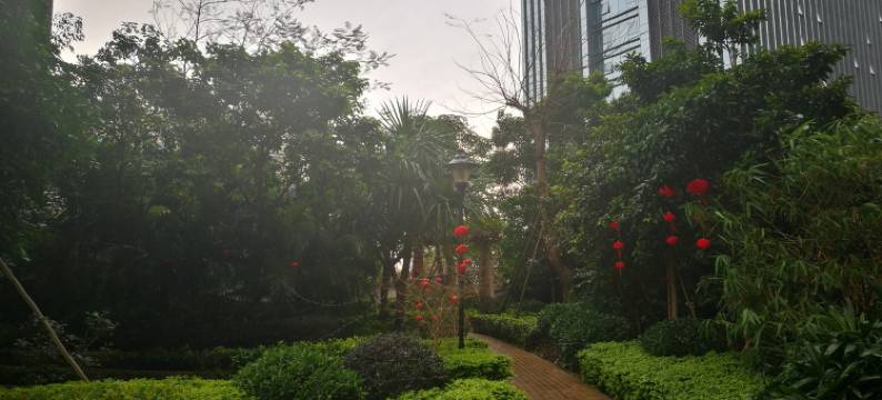 碧海秋月公寓(南山大道分店)图片