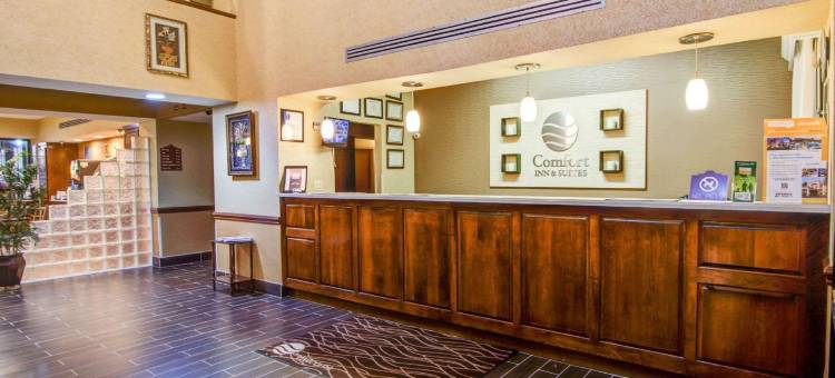 佩里国家博览会场区舒适套房酒店(Comfort Inn & Suites Perry National Fairgrounds Area)图片