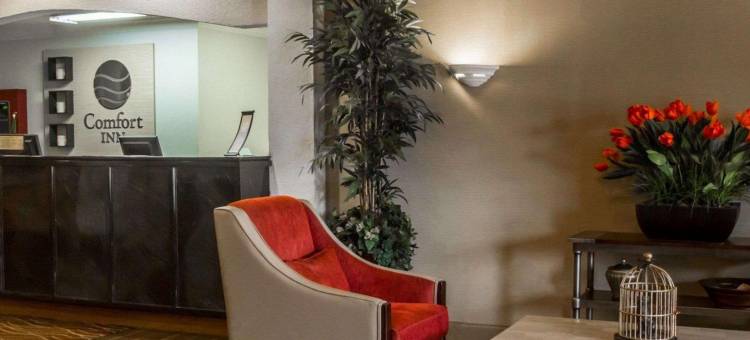 舒适酒店(Comfort Inn Amite)图片