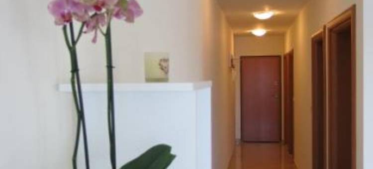 落日公寓(Sunset Apartment)图片