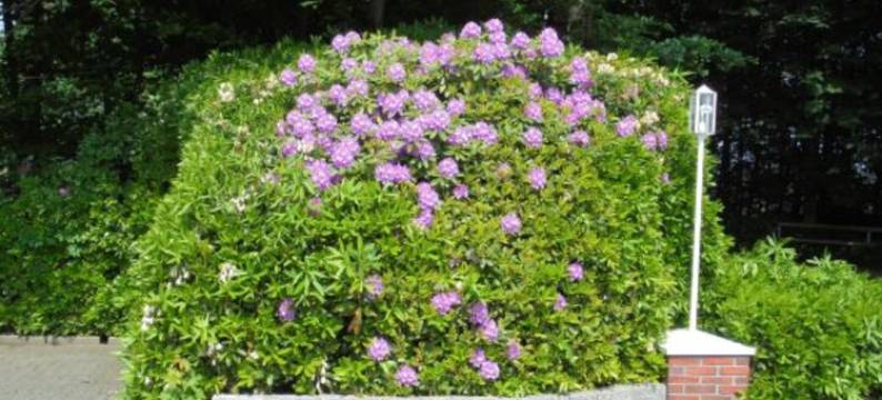 赫尔佐格加尼酒店(Hotel-Landgasthof Herzog)图片