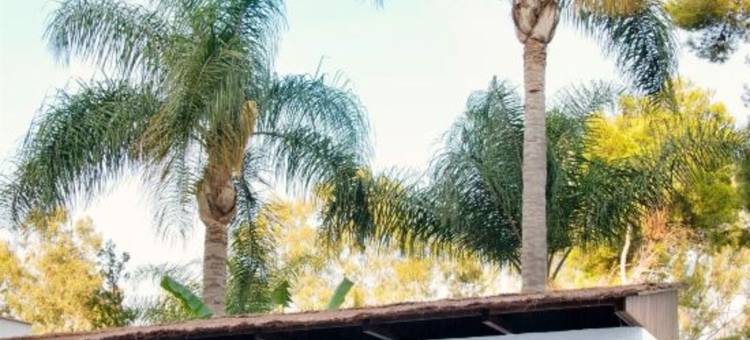 AluaSun Costa Park图片