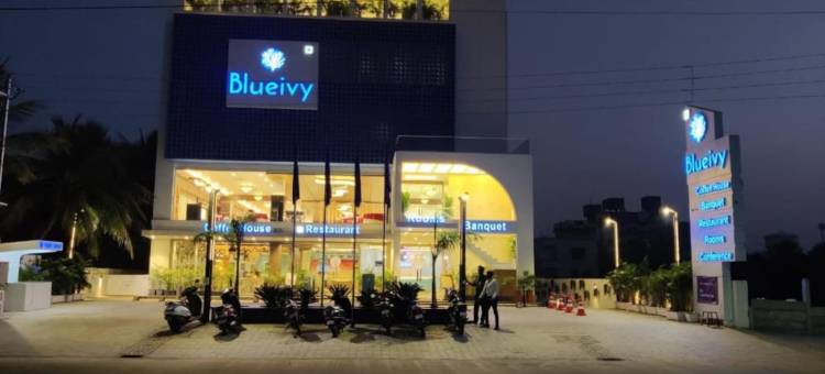 布鲁艾维酒店(Hotel Blueivy Anand)图片