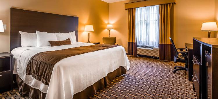 贝斯特韦斯特普勒斯瀑布旅馆&套房酒店(Best Western Plus the Inn  Suites at the Falls)图片