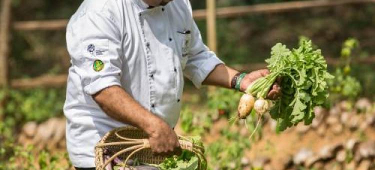 云巅阁 · 爱德华臻选(The Far Pavilion by Edwards Collection - Pinnawala)图片