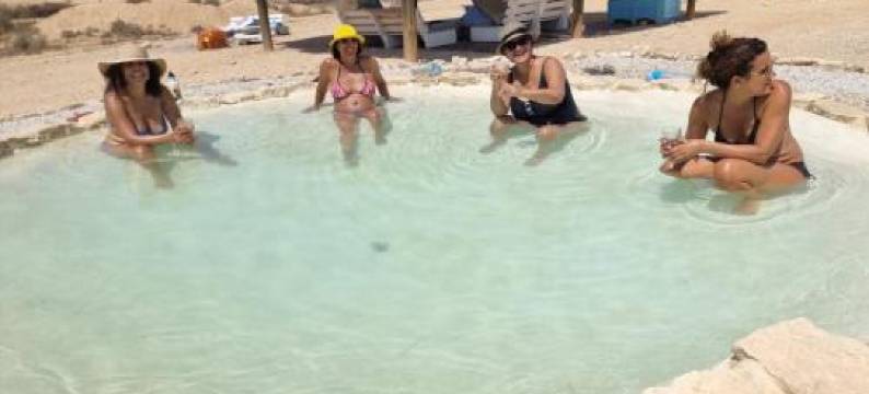 Zimmeravon at the desert olive farm图片