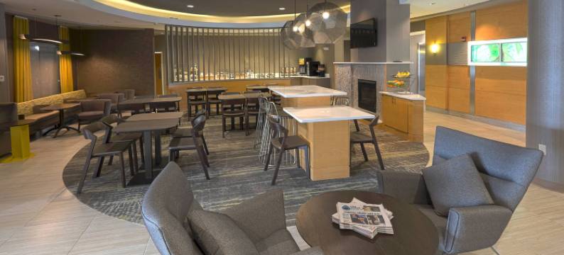 奥尔巴尼-科勒尼 SpringHill Suites 酒店(SpringHill Suites Albany-Colonie)图片