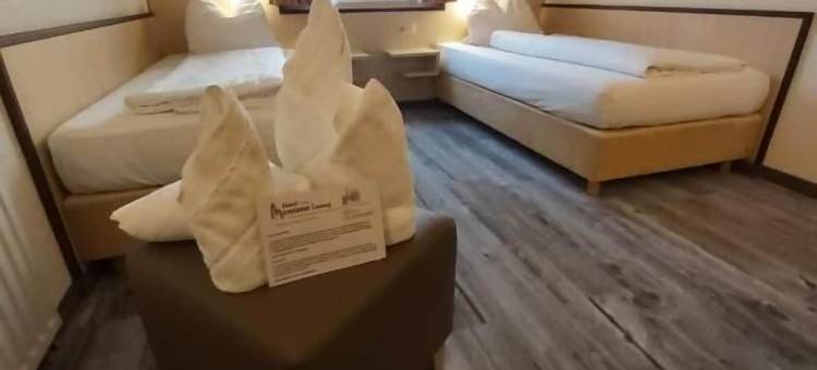 蒙大拿灵堡酒店(Hotel Montana Limburg)图片