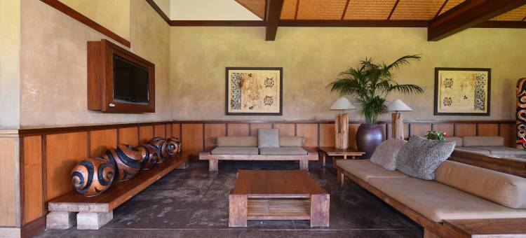 Aina Nalu A104图片