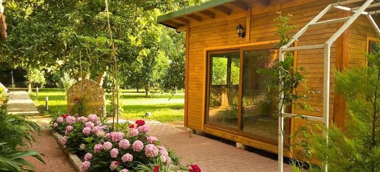 斯姆格旅馆(Simge Pension)图片