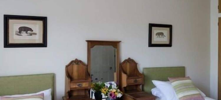 狮子酒店(The Lions)图片