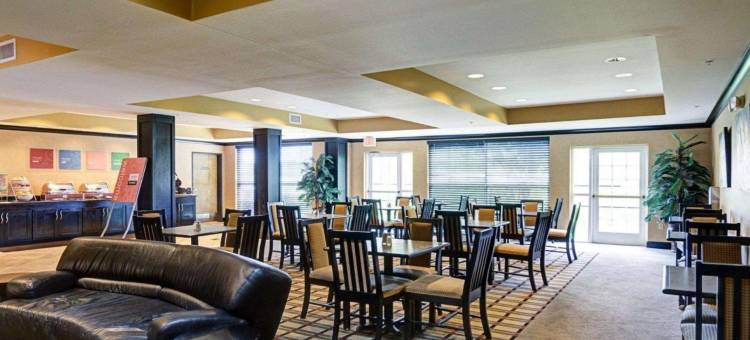 舒适套房酒店(Comfort Suites- Near University)图片