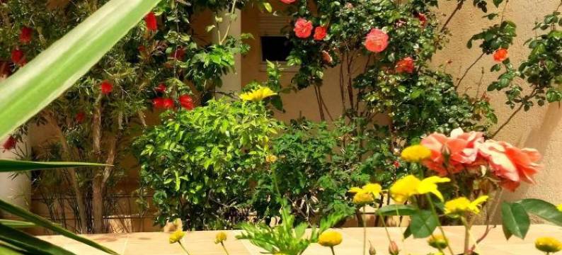 圣迈克尔住宅酒店(Résidence Saint Michel)图片