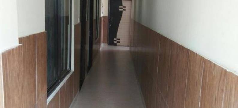 绿洲棕榈Rubystone异域(Green Palms Rubystone Exotic)图片