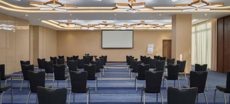 丽笙蓝标酒店利雅得国际会议展览中心(Radisson Blu Hotel Riyadh Convention Exhibition)图片