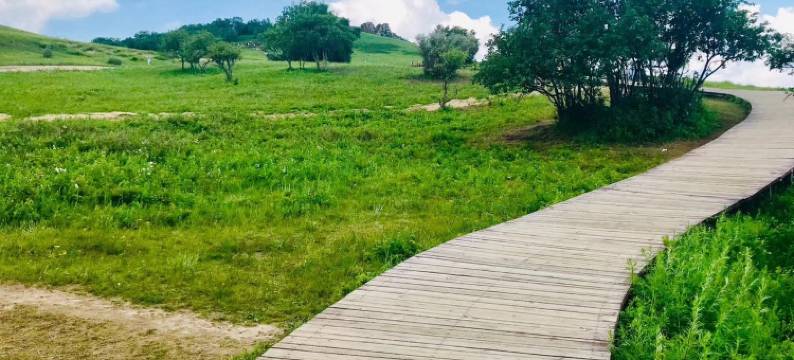 客官打尖还是住店公寓(迎宾路分店)图片