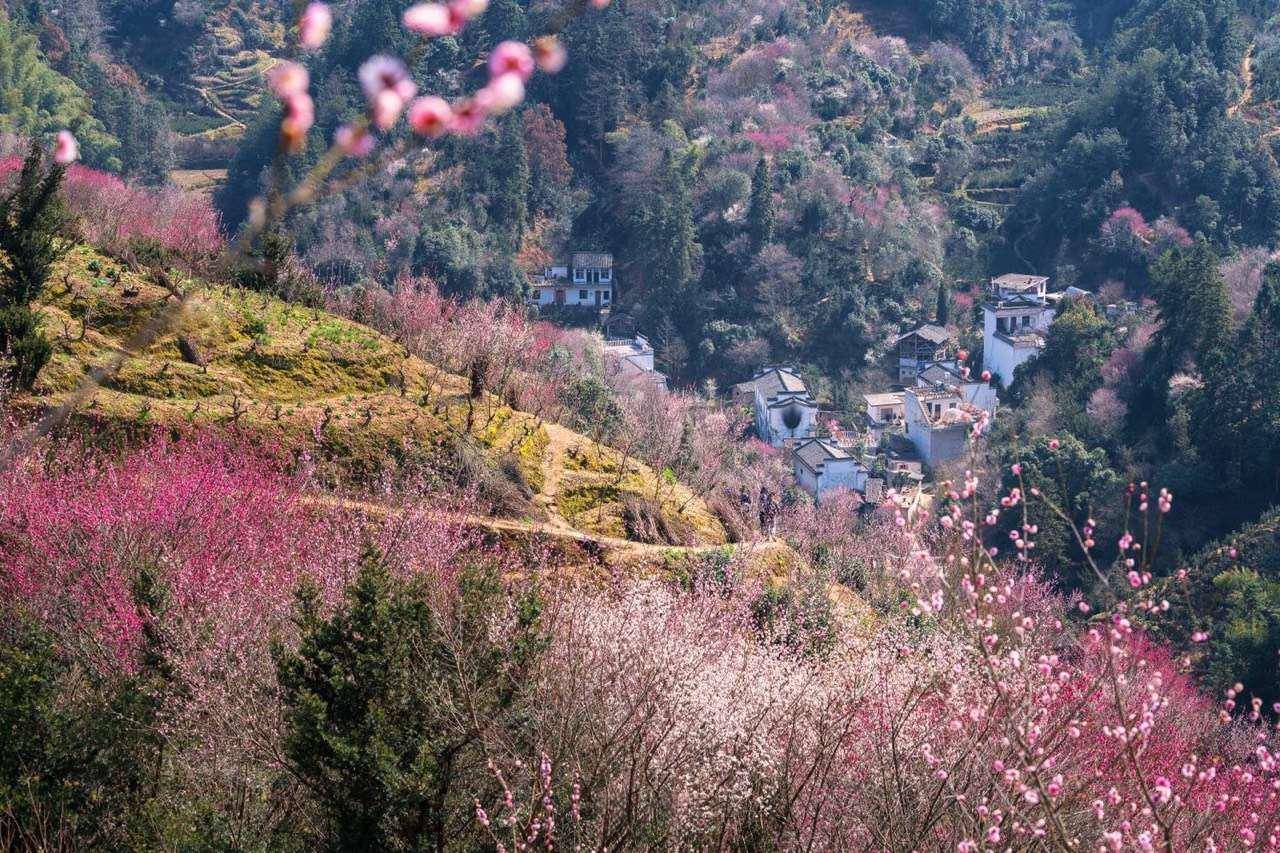 花筑·杭州阿蘭若民宿(灵隐寺店)图片