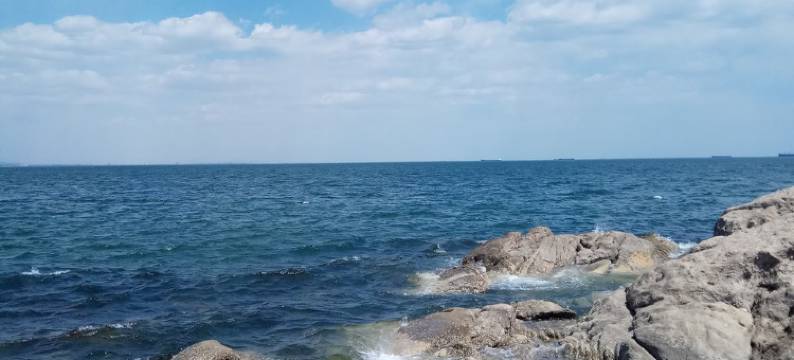 秦皇岛姜滨旅游海边民宿图片