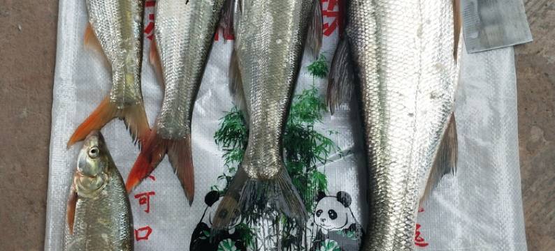 秋名山车神公寓(睦州大道分店)图片