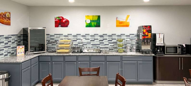 凯艺套房酒店(Quality Inn & Suites)图片