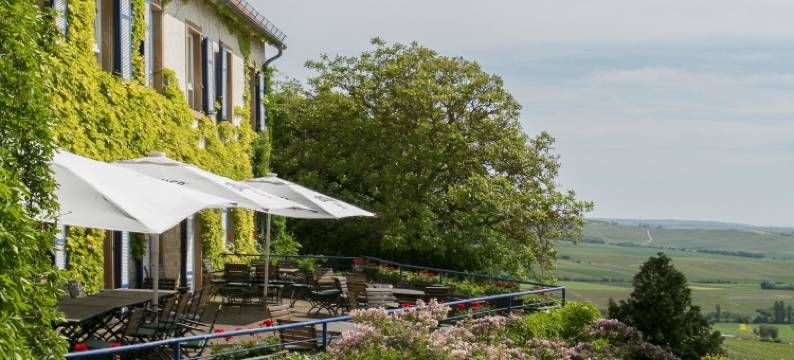 霍夫古特威斯贝格 - 酒庄酒店(Hofgut Wißberg - Das Weinberghotel)图片