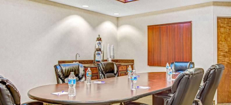 麦克多诺温德姆呗盟酒店(Baymont by Wyndham McDonough)图片