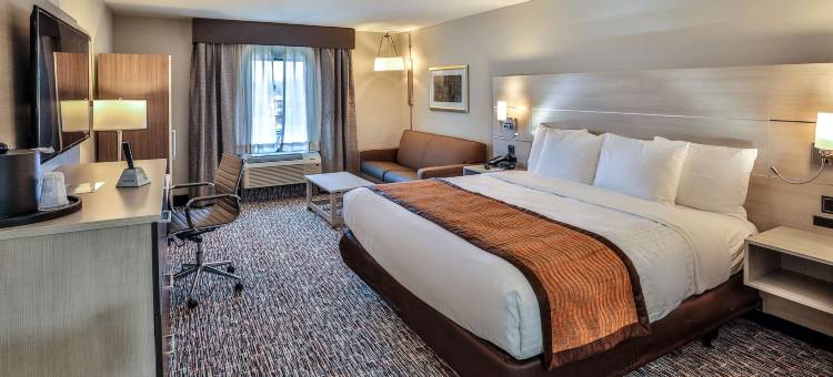 纳什维尔贝斯特韦斯特优质行政套房优质酒店(Best Western Plus Executive Residency Nashville)图片