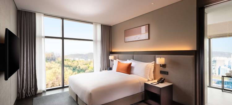 首尔板桥希尔顿逸林公寓酒店(DoubleTree by Hilton Seoul Pangyo Residences)图片