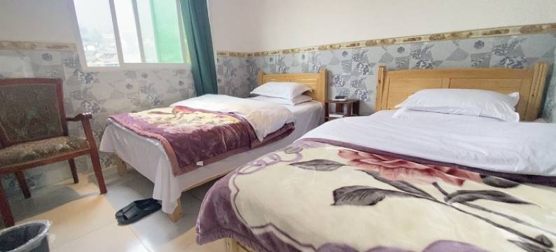 勤勤恳恳小房东客栈(西河街分店)图片