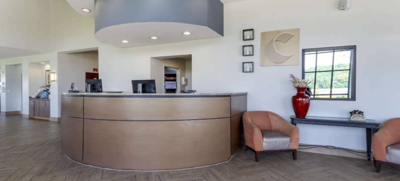 柯达塞维尔舒适套房酒店(Comfort Suites Kodak Sevierville)图片