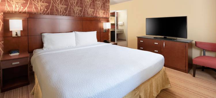 达拉斯普莱诺文化公园万怡酒店(Courtyard Dallas Plano in Legacy Park)图片