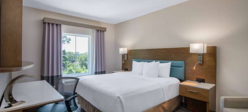 塔拉哈斯北 I-10 首都圈温德姆爵怡酒店(Tryp by Wyndham Tallahassee North I-10 Capital Circle)图片