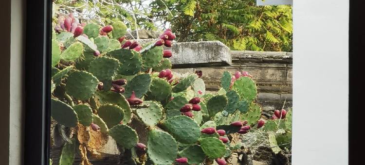 花筑·悟时民宿(洛邑古城丽景门十字街店)图片