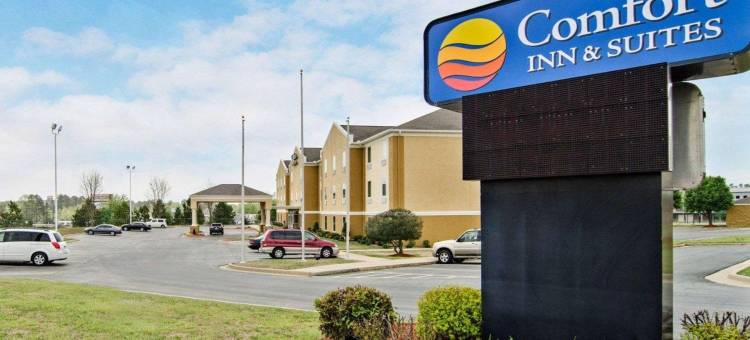 布莱恩-本顿特舒适套房酒店(Comfort Inn & Suites Bryant - Benton)图片