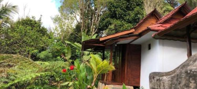 Sedana Yoga Resort图片