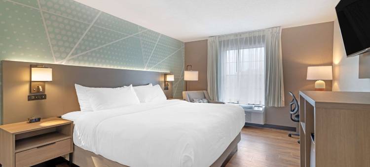 机场舒适酒店(Comfort Inn Airport)图片