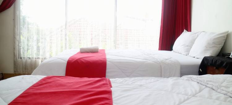 The Homey Rooms and Tours图片