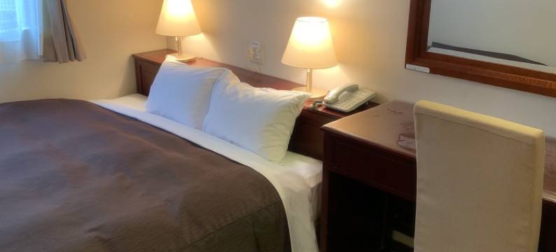 冈山雷加洛酒店(Regalo Hotel Okayama)图片