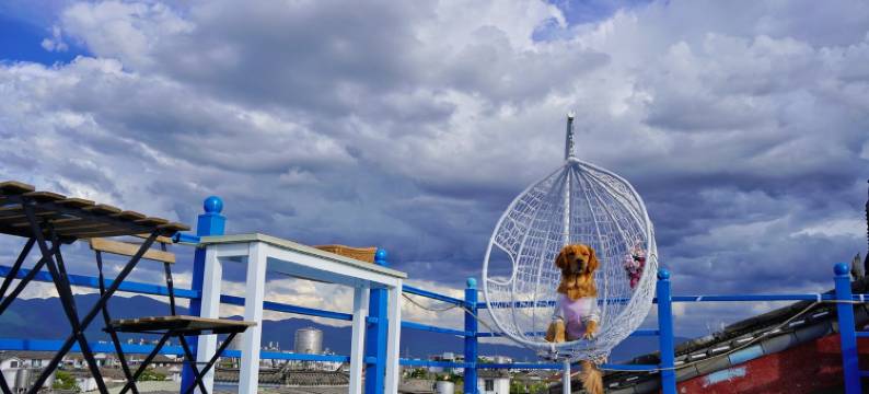 栖心花园美宿丽园栖心客栈(吉祥路分店)图片