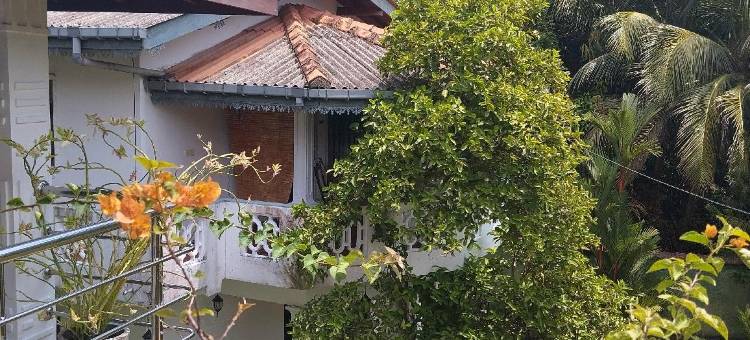乌托邦别墅酒店(Utopia Villas)图片