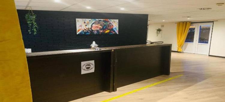 梅肯桑斯酒店(Hotel Inn Design Macon Sance)图片