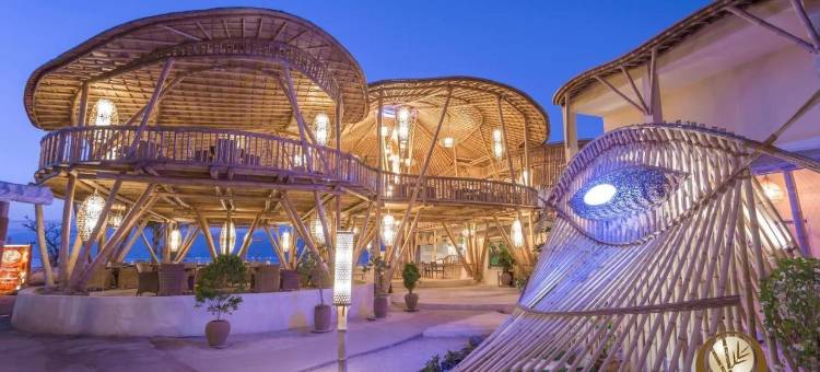 特拉旺安珍珠度假村(Pearl of Trawangan)图片