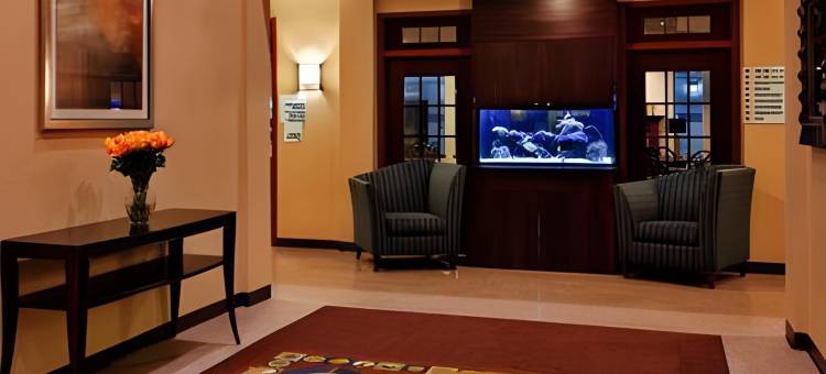 智选假日套房酒店圣查尔斯(Holiday Inn Express & Suites ST Charles)图片