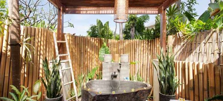 罗维纳酒店(The Lovina)图片