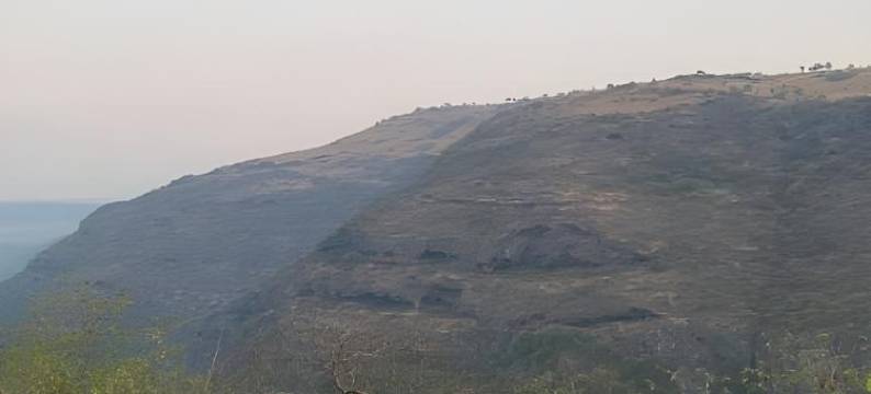 Serene Glamping图片