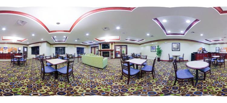 智选假日套房酒店德威特(雪城)(Holiday Inn Express & Suites Dewitt (Syracuse))图片