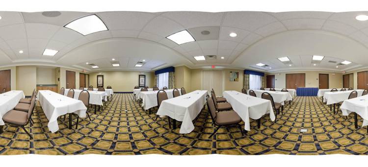 智选假日套房酒店芝加哥南兰辛(Holiday Inn Express & Suites Chicago South Lansing)图片