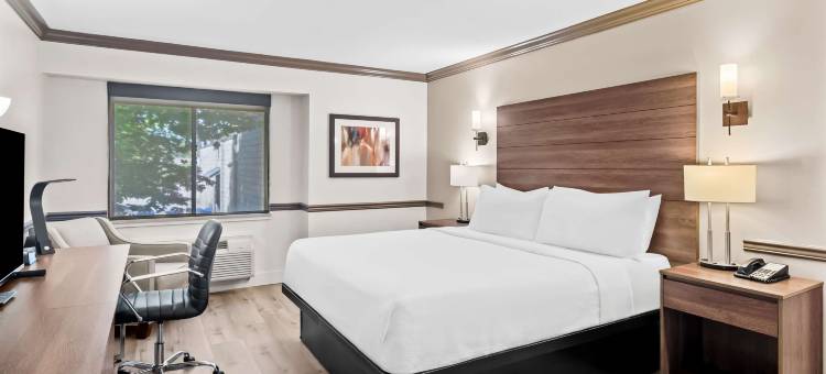 枫树岭贝斯特韦斯特酒店(Best Western Maple Ridge Hotel)图片