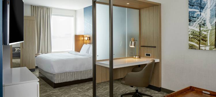 哥伦布/都柏林SpringHill Suites酒店(SpringHill Suites Columbus Dublin)图片