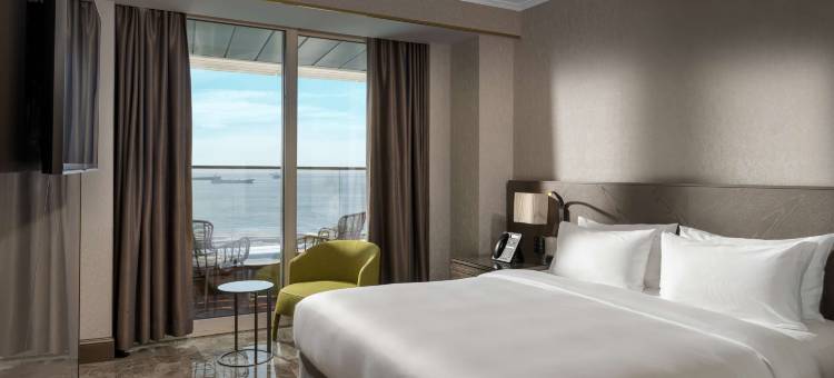 伊斯坦布尔阿塔科丽笙蓝标酒店(Radisson Blu Hotel Istanbul Ottomare)图片